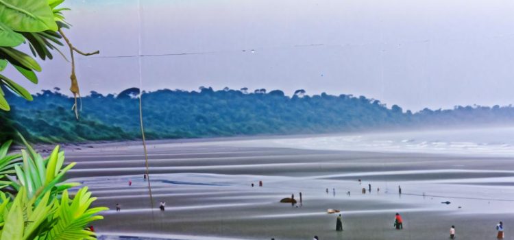 How Coastal Areas Experience Frequent Fog