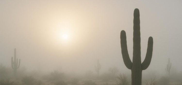 How Fog Forms in Deserts and Arid Regions