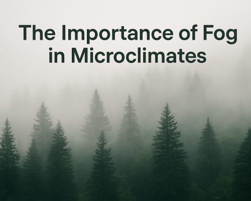 The Importance of Fog in Microclimates