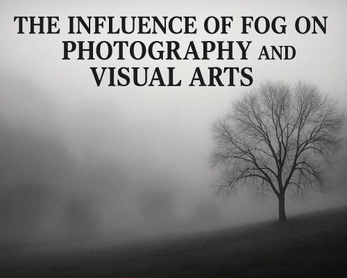 The Influence of Fog on Photography and Visual Arts