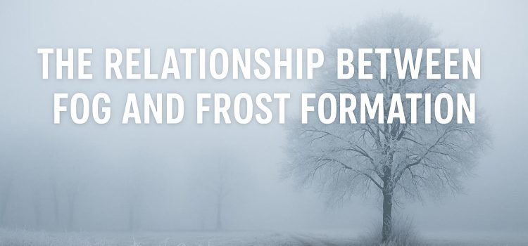 The Relationship Between Fog and Frost Formation