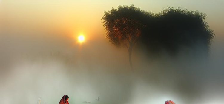 The Role of Fog in Agriculture and Farming